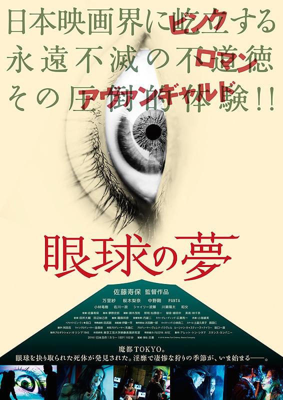 眼球の夢