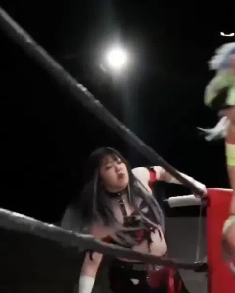 女子プロレスラーウナギ・サヤカのM字開脚GIF、股間強調でファン大興奮