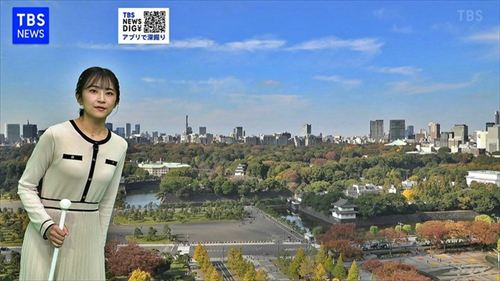 與猶茉穂 ブラ透け巨乳 2025年11月15日 TBSニュース おっぱい谷間 スポブラ