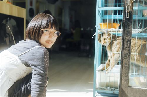 あのちゃんパンツパンチラエロスカートの中画像