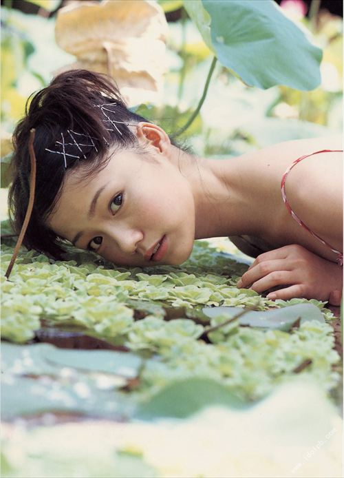 宮﨑あおいヌード濡れ場おっぱいエロ水着お胸グラビア