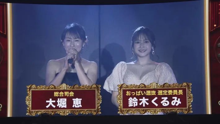 AKB48武道館ライブおっぱい選抜下品炎上