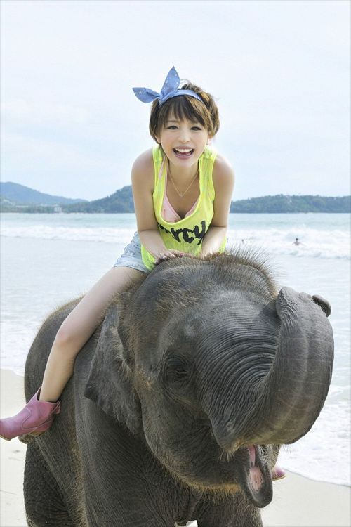 平野綾の抜けるエロ画像