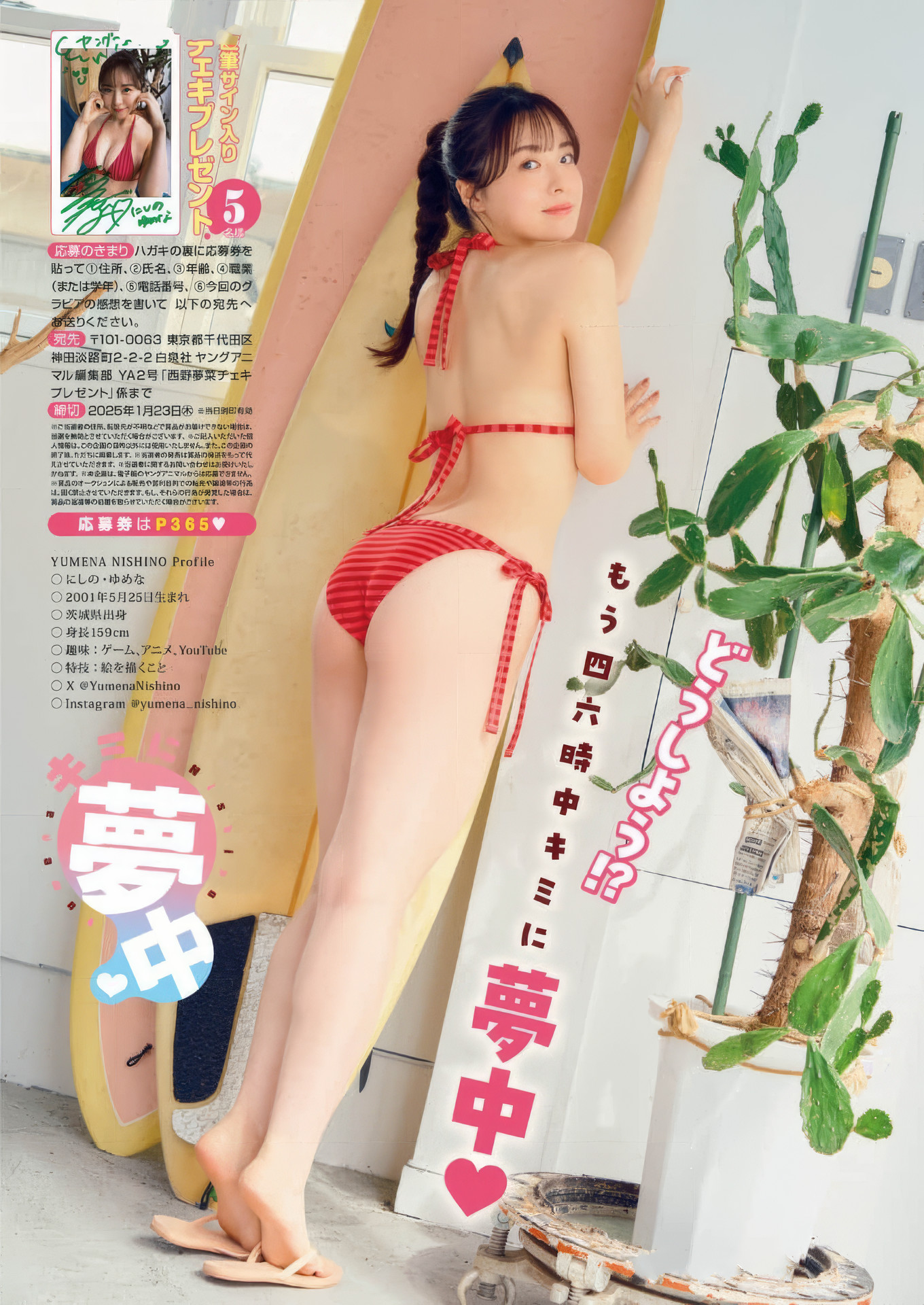 西野夢菜グラビアおっぱいエロ画像