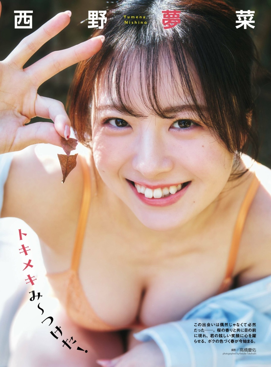 西野夢菜グラビアおっぱいエロ画像