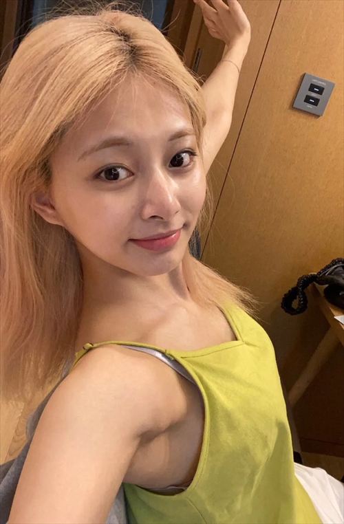 TWICEツウィエロパンチラおっぱいグラビアハプニング画像