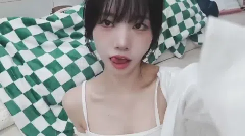 ベラソニエロ画像