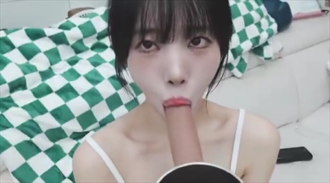 ベラソニエロ画像