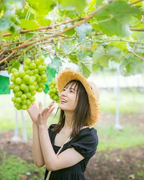 小坂菜緒、パイスラでお胸くっきりｗｗ舐めるように見てしまう・・