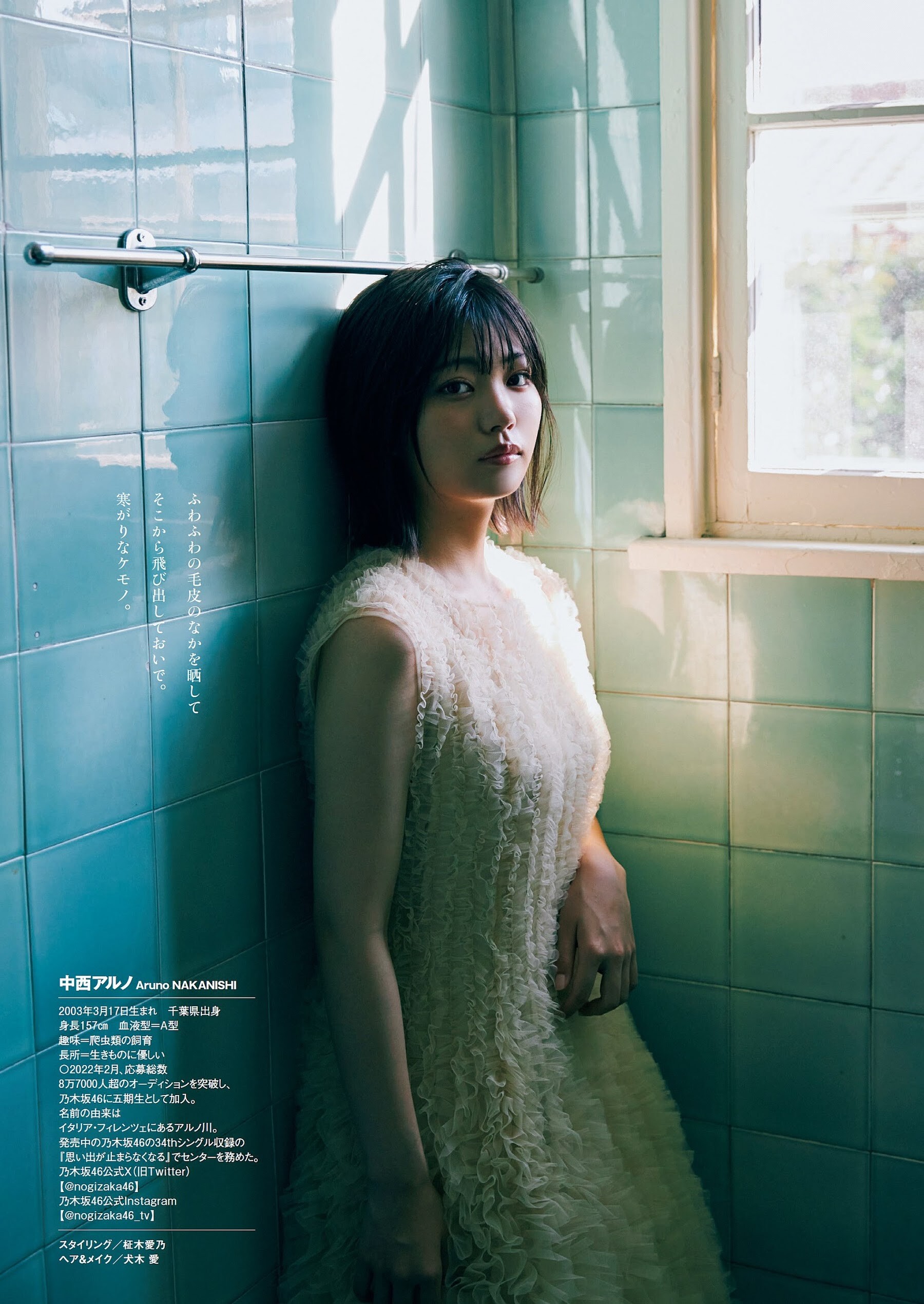 中西アルノエロ画像