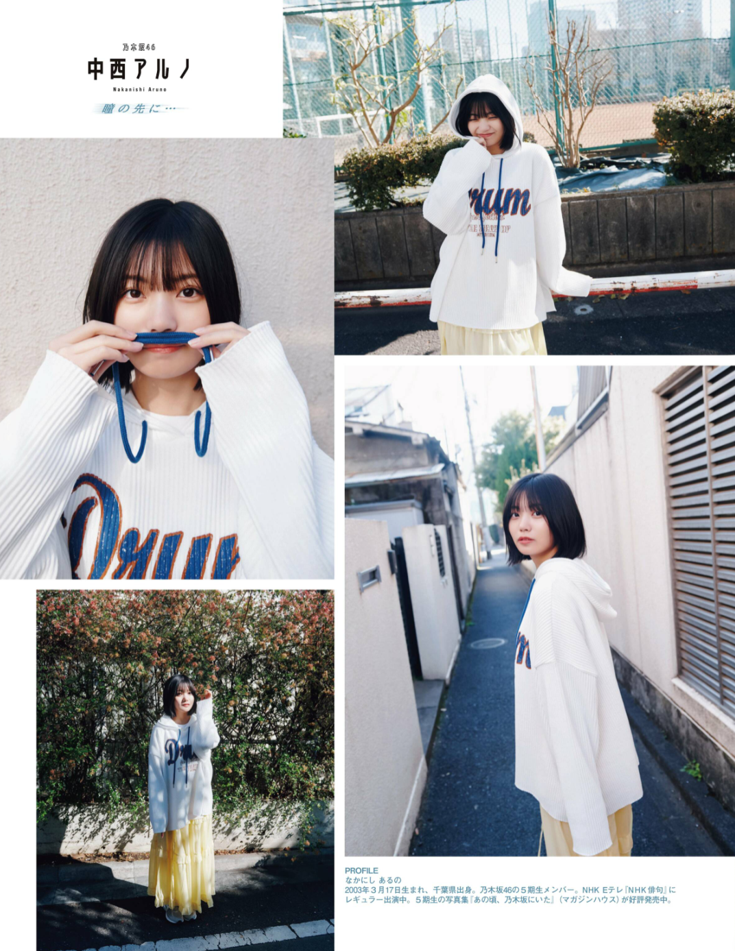 中西アルノエロ画像