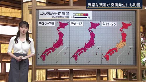 細川栞アナエロ透けおっぱいニット