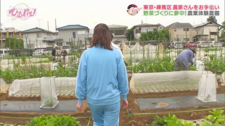 姫野美南アナNHKエロリ胸チラブラチラハプニング