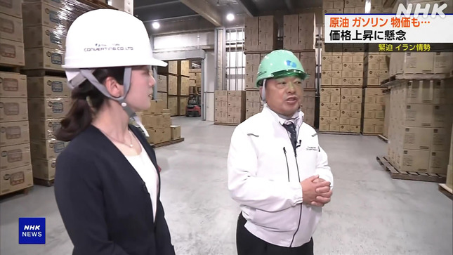 姫野美南アナNHKエロリ胸チラブラチラハプニング