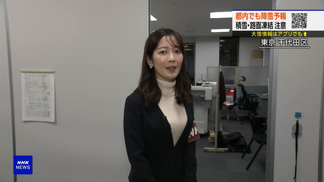 姫野美南アナNHKエロリ胸チラブラチラハプニング