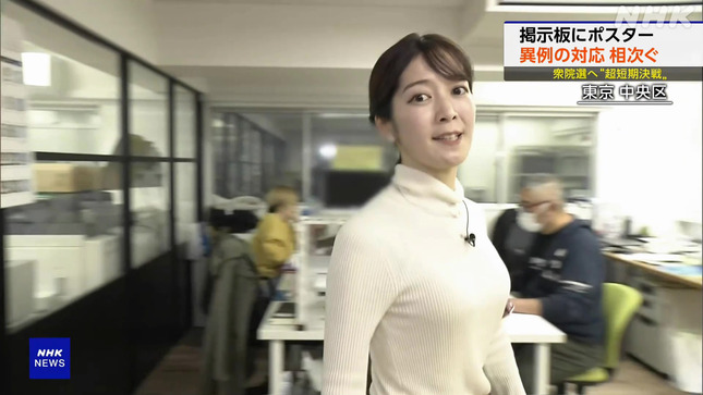 姫野美南アナNHKエロリ胸チラブラチラハプニング