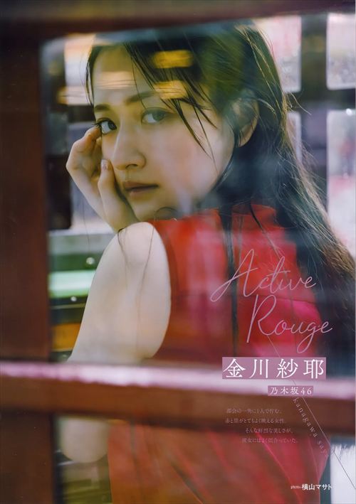 金川紗耶エロ股間グラビア