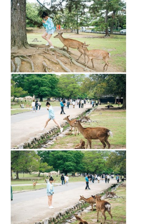 坂倉花おっぱいエロ画像